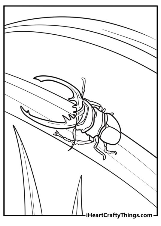 Beetle sitting on a blade of grass coloring page