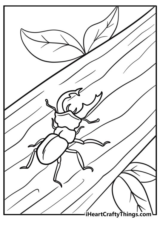 Beetle sitting on a branch coloring page