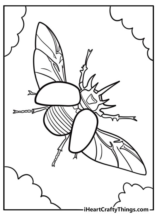 Beetle with open wings coloring page