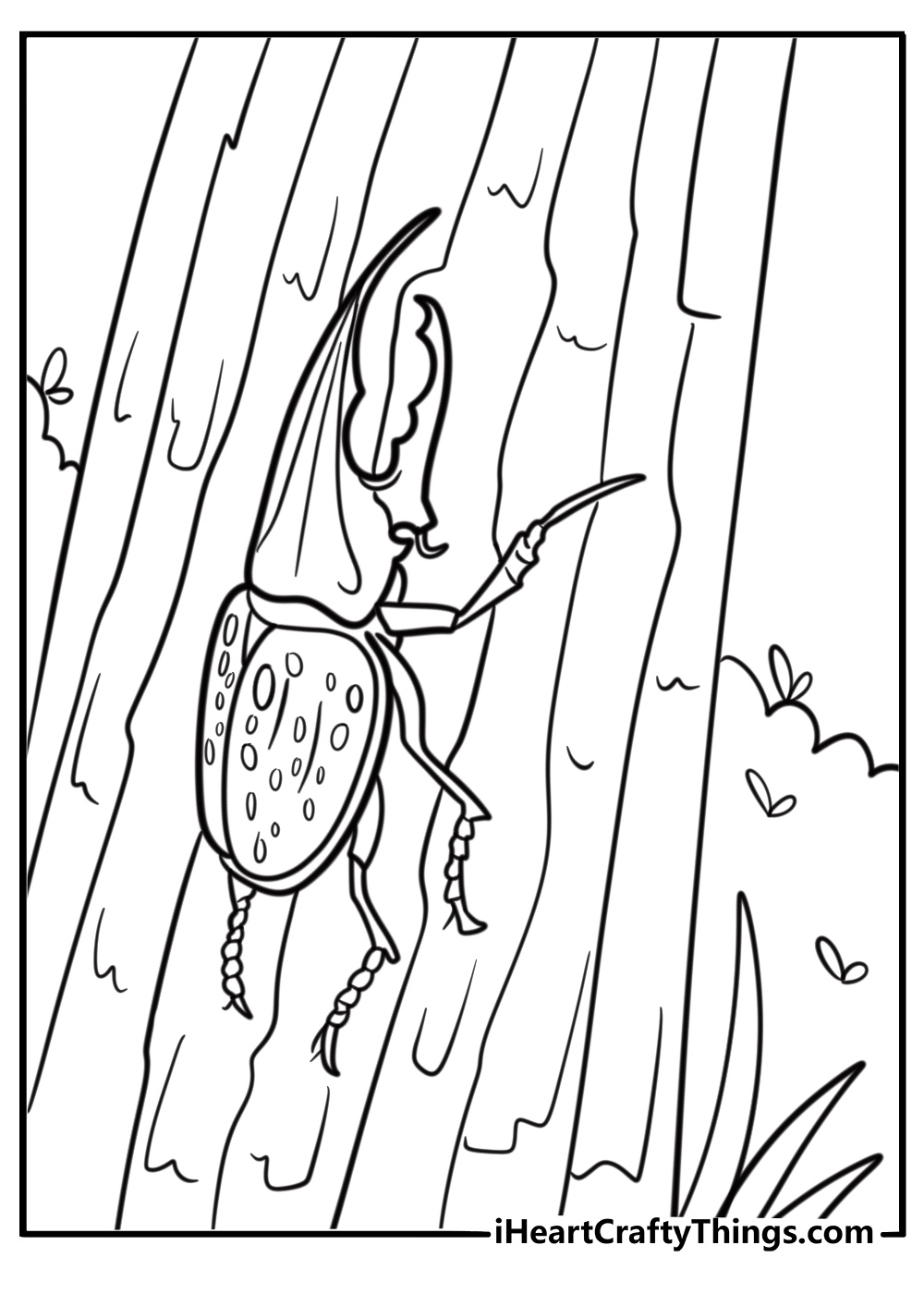 Beetle with spotted shell coloring page