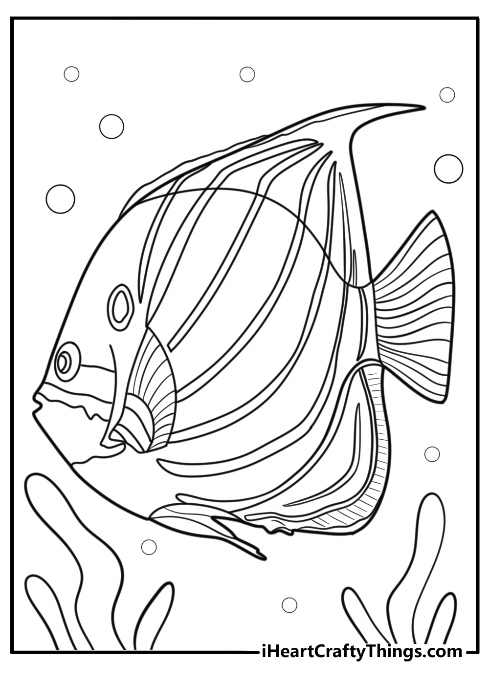 Close up of angelfish with detailed fins coloring page