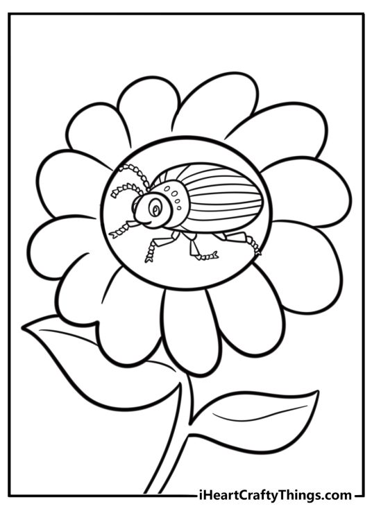Colorful beetle resting on a flower coloring page