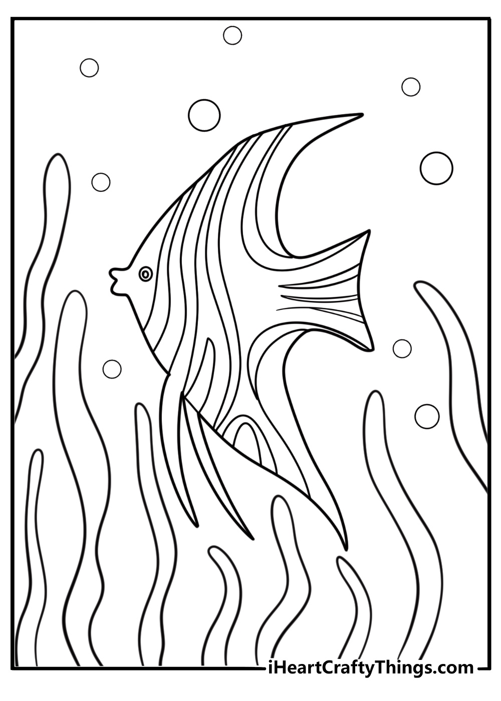 Freshwater angelfish gliding through plants coloring page