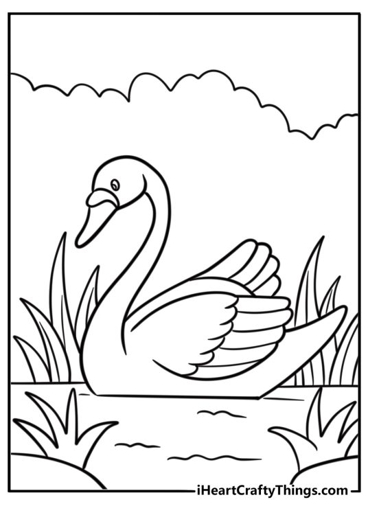 Graceful swan gliding through tall grass detailed coloring sheet