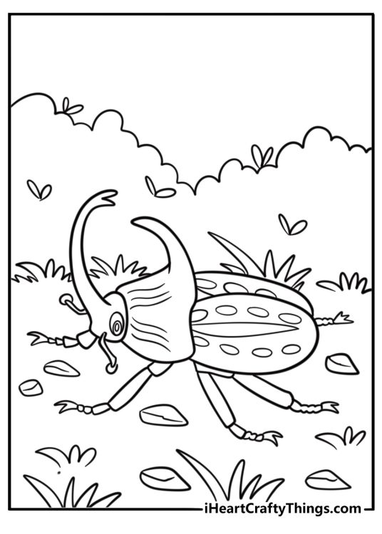 Group of beetles in the forest coloring page