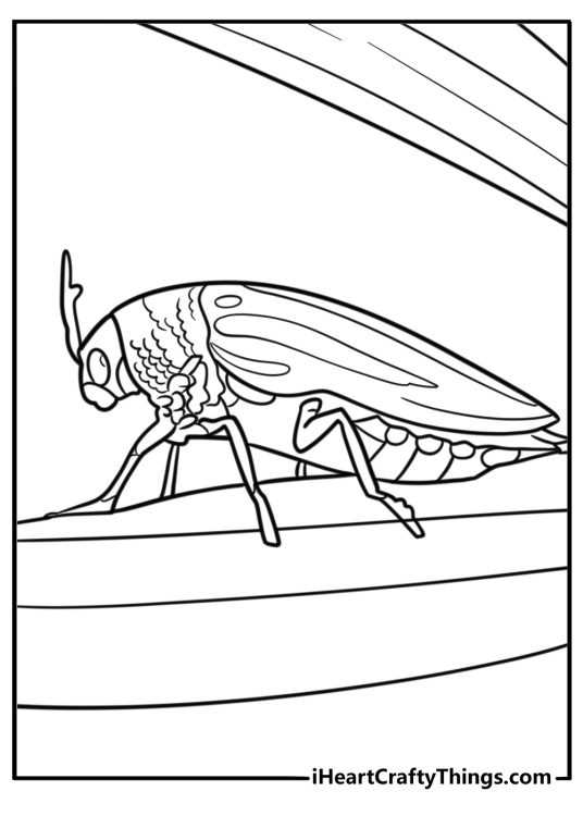 Jewel beetle with shiny shell coloring page