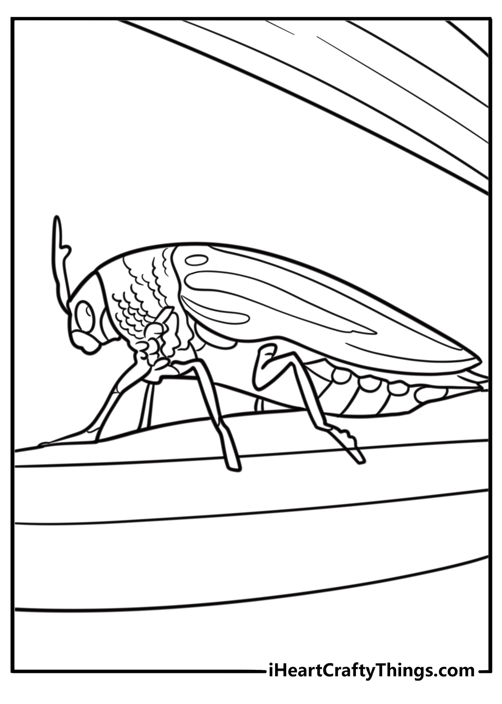 Jewel beetle with shiny shell coloring page