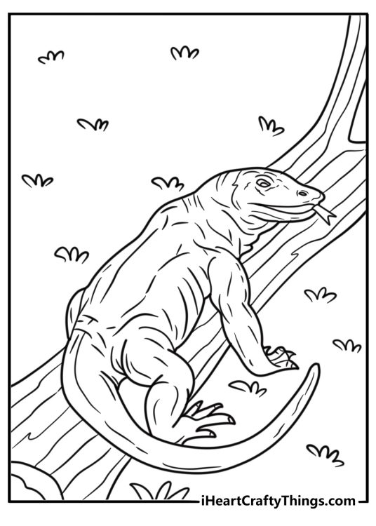 Komodo dragon climbing over a fallen tree coloring page