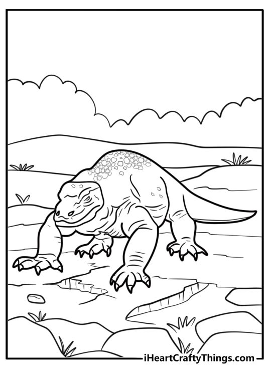 Komodo dragon walking across dry cracked earth coloring page