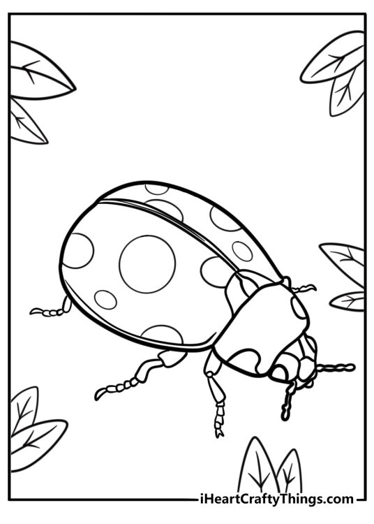 Ladybug beetle with bright spots coloring page