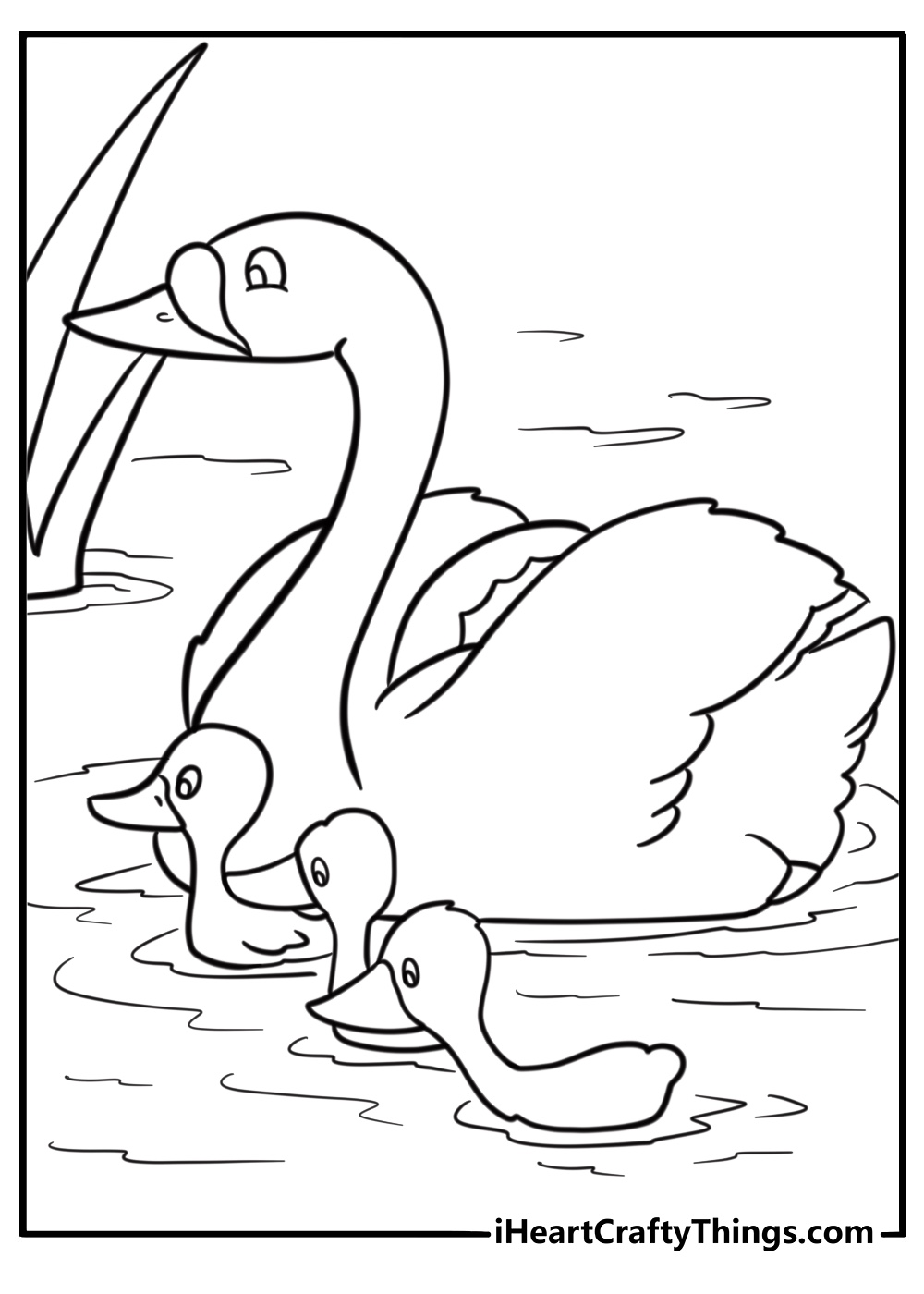 Mother swan with her cygnets swimming behind coloring page