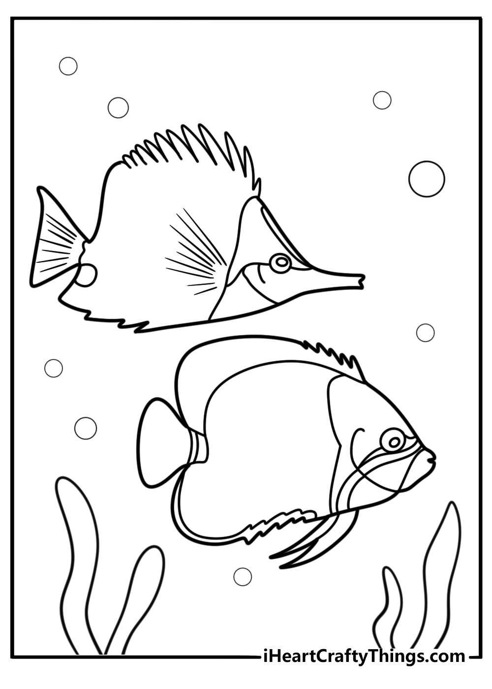 Pair of angelfish swimming together coloring page