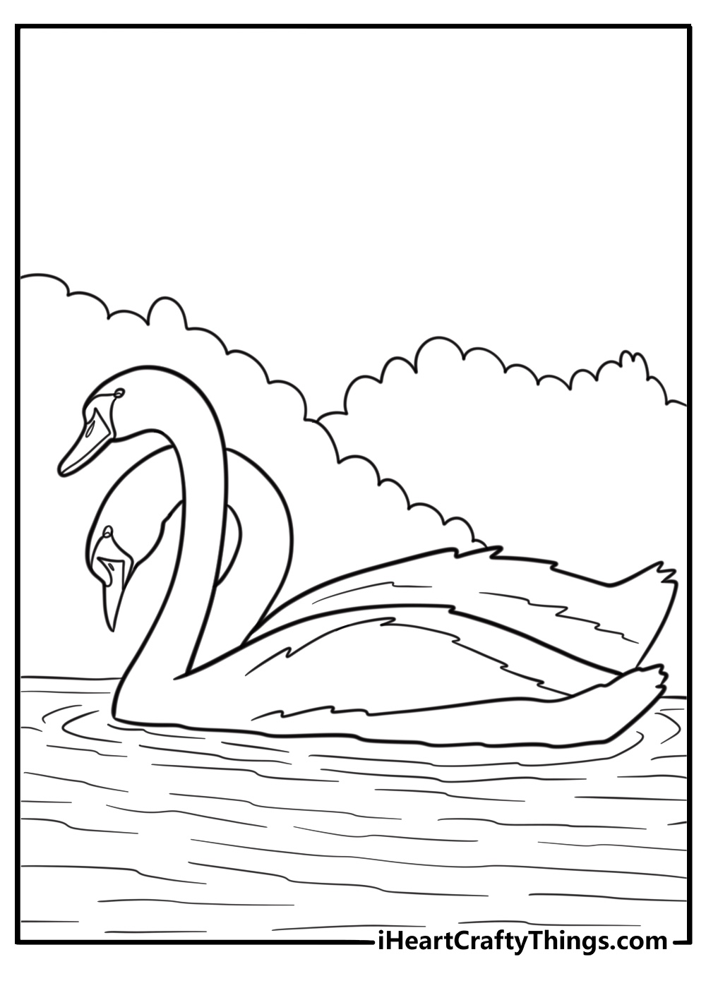 Pair of swans floating together peacefully detailed coloring sheet