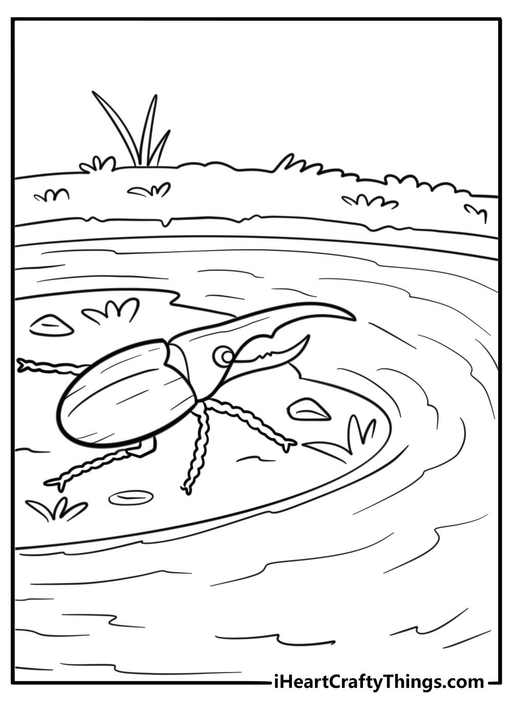 Small beetle near a pond coloring page
