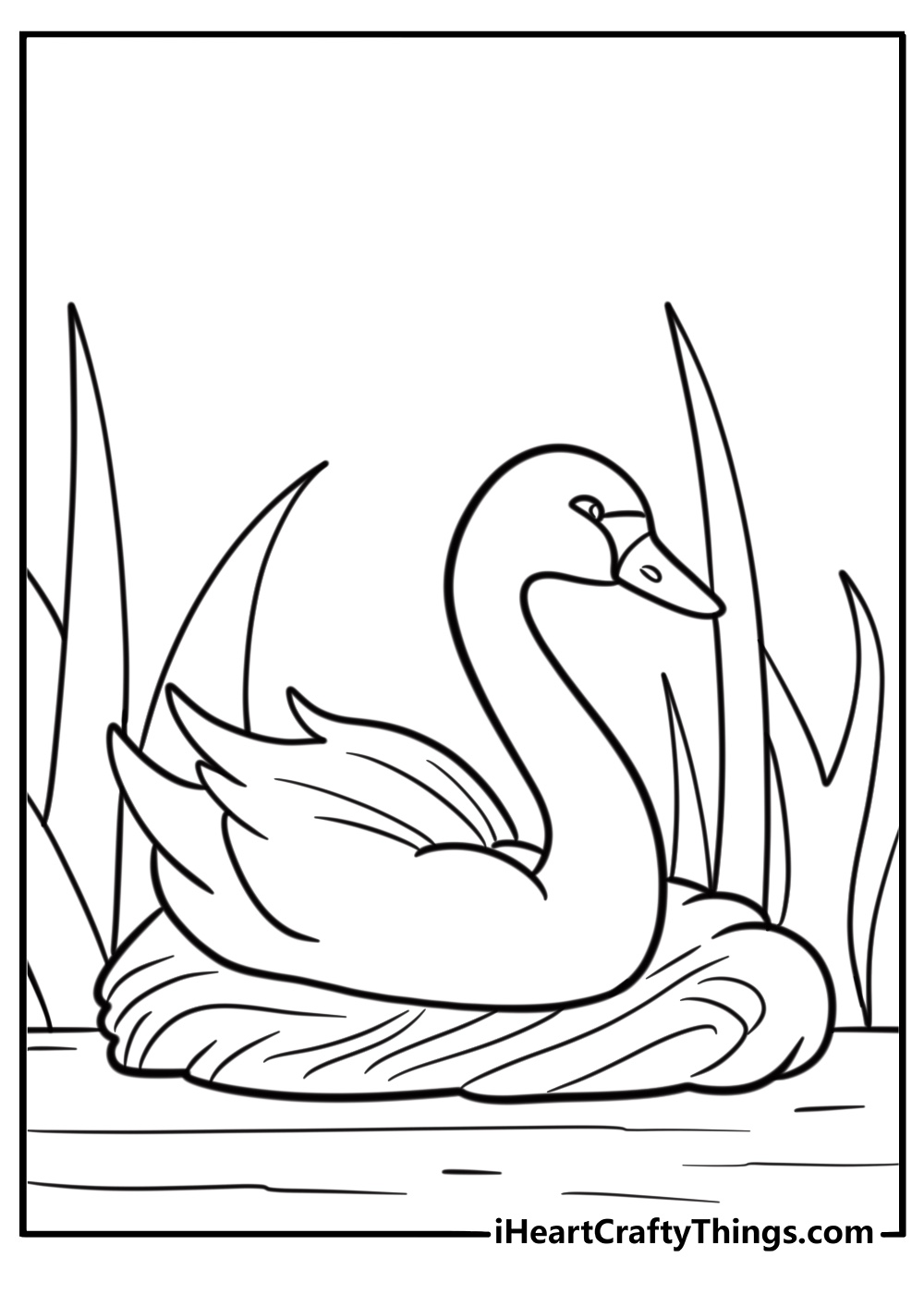 Swan building a nest near the reeds detailed coloring sheet