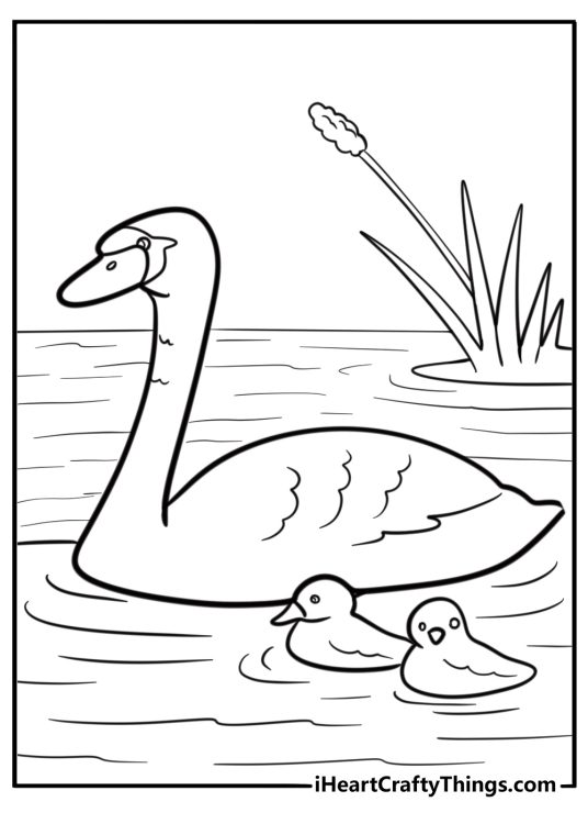 Swan drifting along a quiet river free printable coloring page