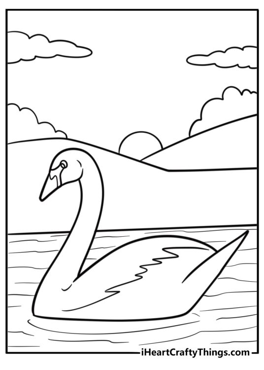 Swan floating under the sunset sky fun printable coloring sheet