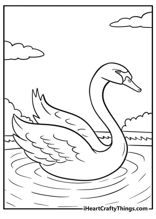 Swan gliding across still water fun printable coloring sheet