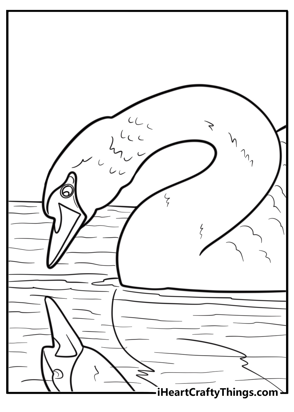 Swan looking at its reflection in the water fun coloring sheet