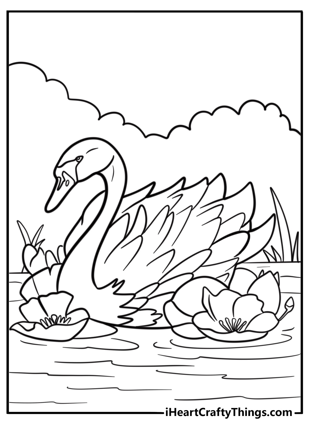 Swan near blooming lotus flowers free coloring page PDF