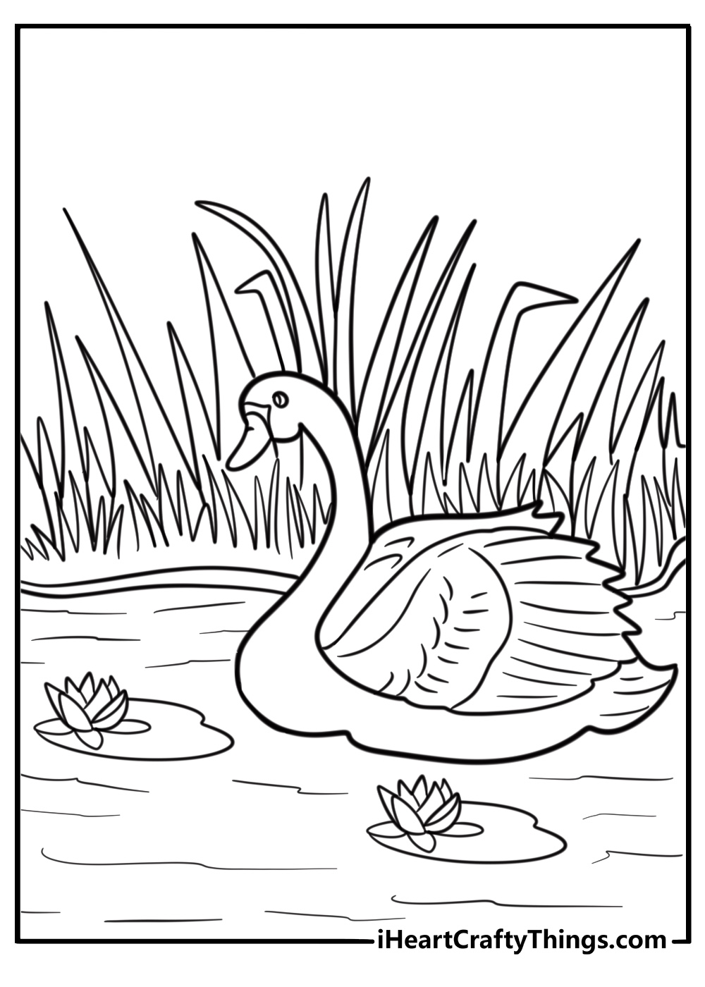 Swan taking off from a lake coloring page for kids