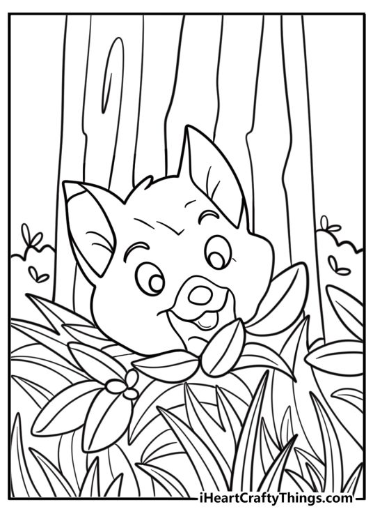 Tod hiding behind a bush in the woods coloring page