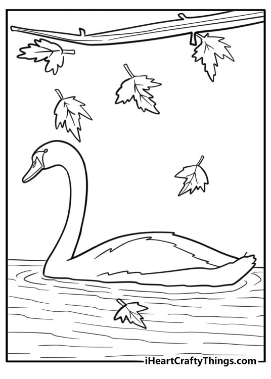 White swan surrounded by autumn leaves detailed coloring sheet