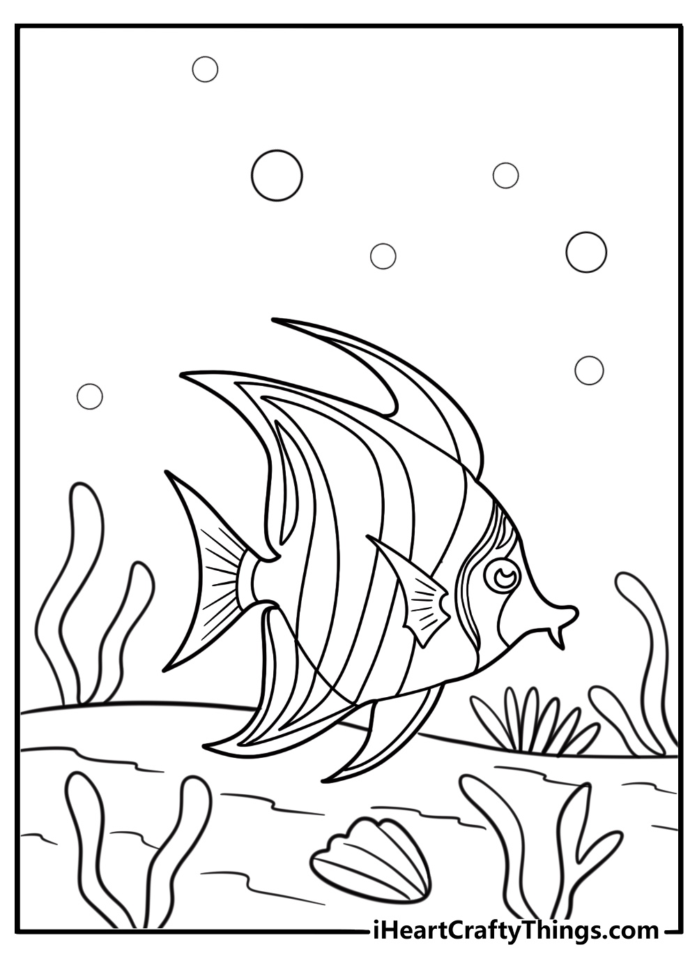 Young angelfish near the surface coloring page