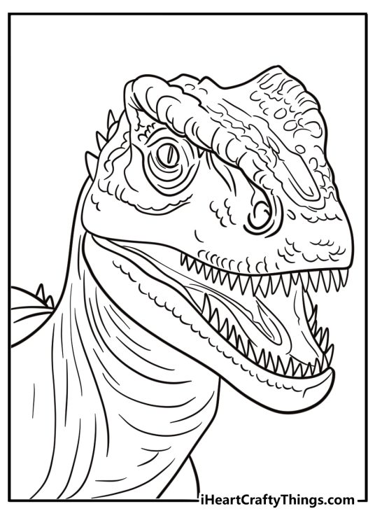 Allosaurus head close up showing eyes and nostrils coloring page