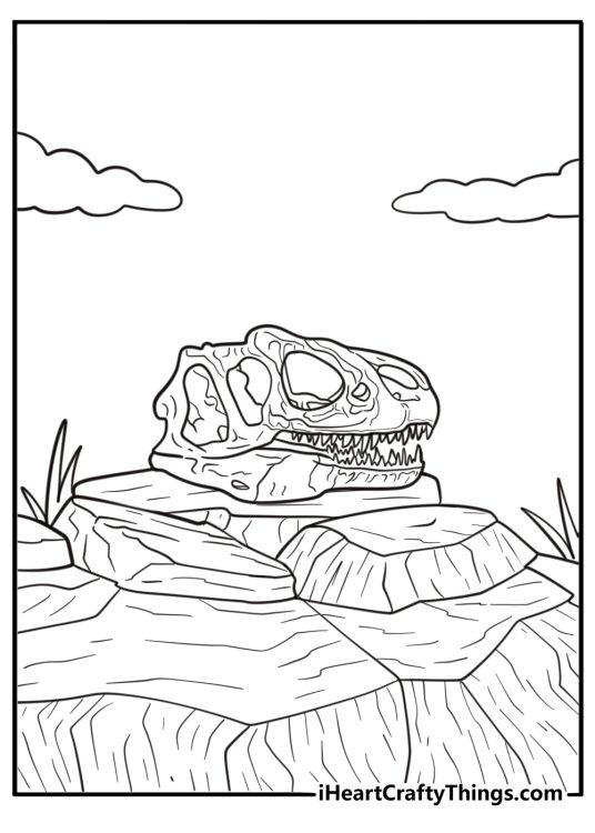 Allosaurus skull with sharp teeth displayed on a rock coloring sheet