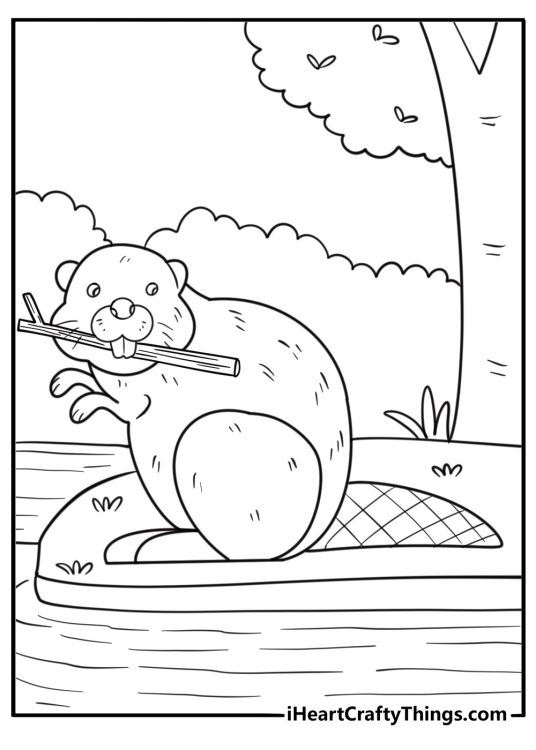 Beaver collecting twigs in a forest near a stream free coloring page