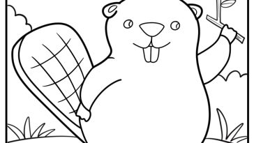 Beaver coloring pages