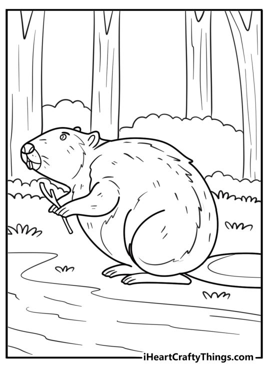 Beaver in a quiet forest pond surrounded by trees coloring sheet
