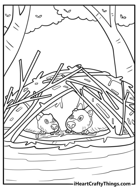 Beaver inside its lodge made of twigs detailed coloring sheet