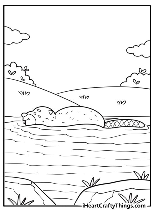 Beaver swimming in a pond free coloring page PDF