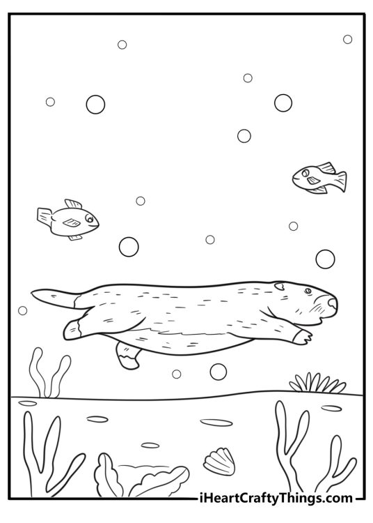 Beaver underwater with fish and plants free coloring page PDF