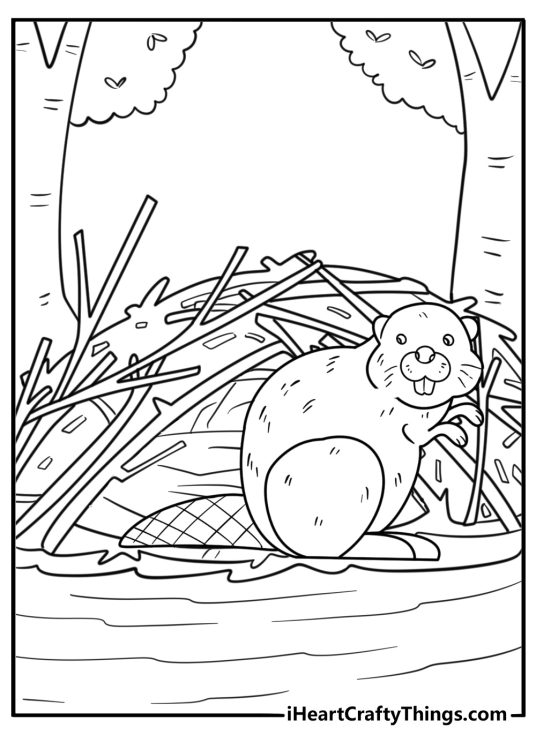 Beaver with lodge entrance behind it in a wetland area free coloring page
