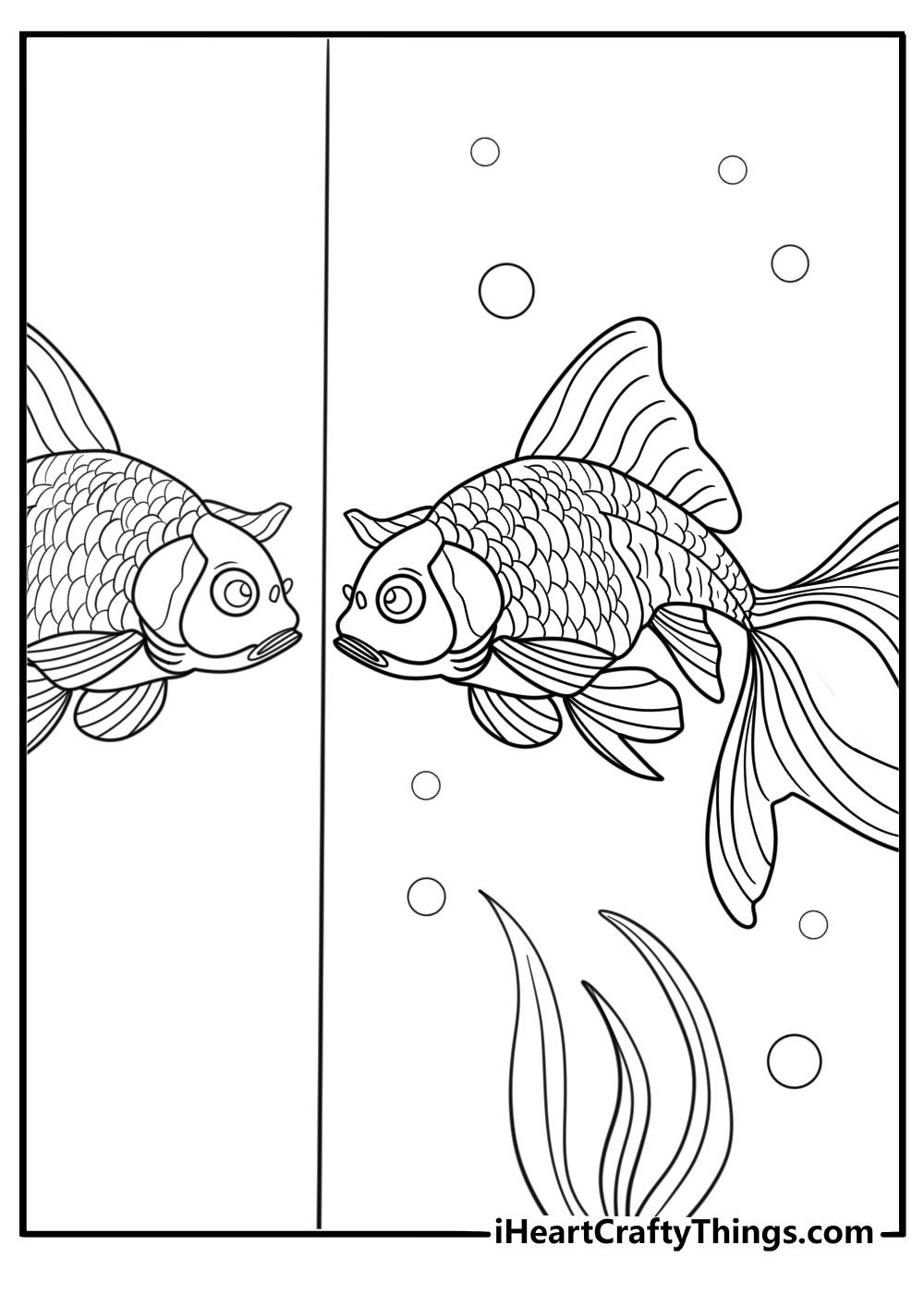 Goldfish looking at its reflection in the glass free pdf
