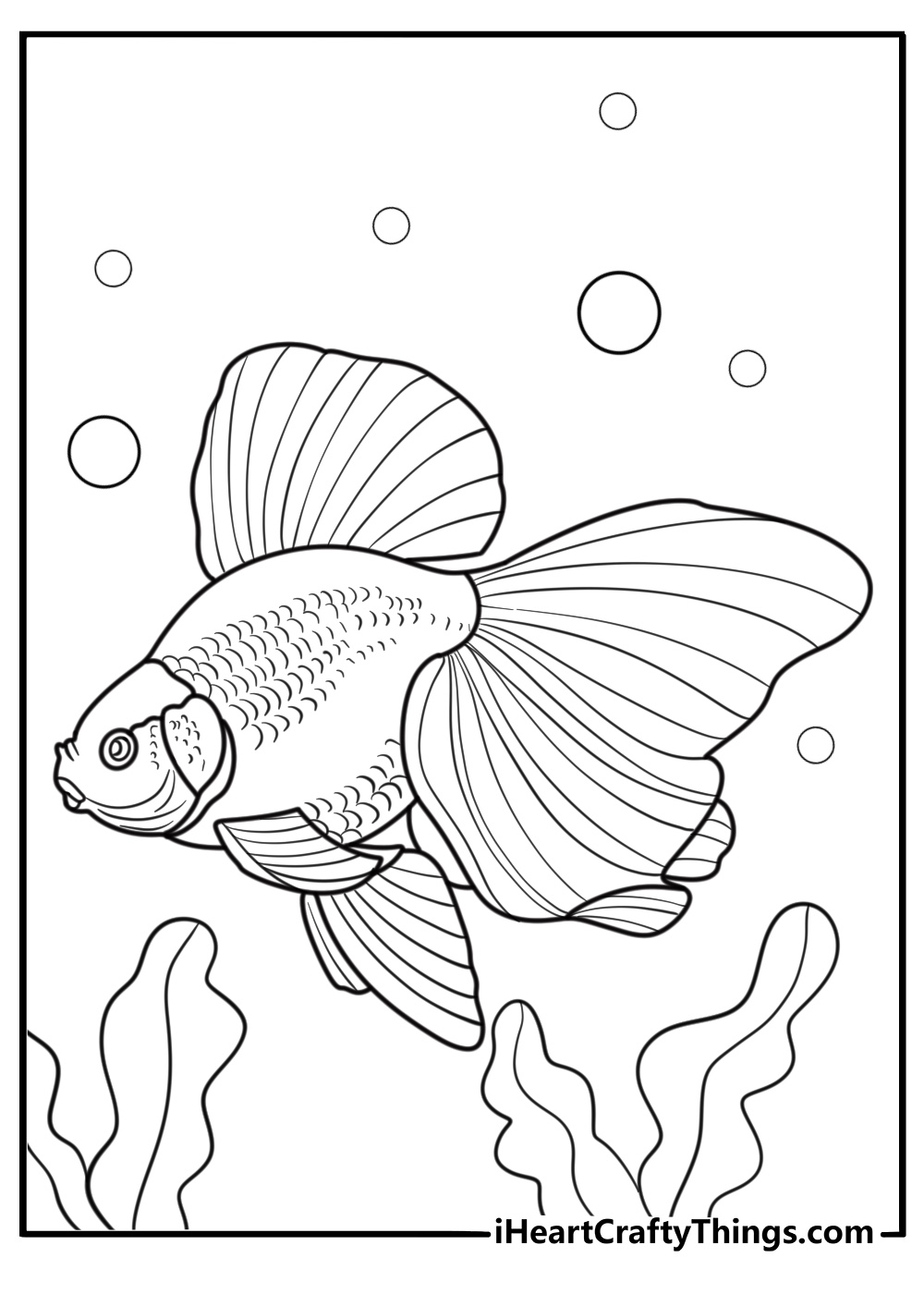 Goldfish swimming calmly in still water coloring sheet