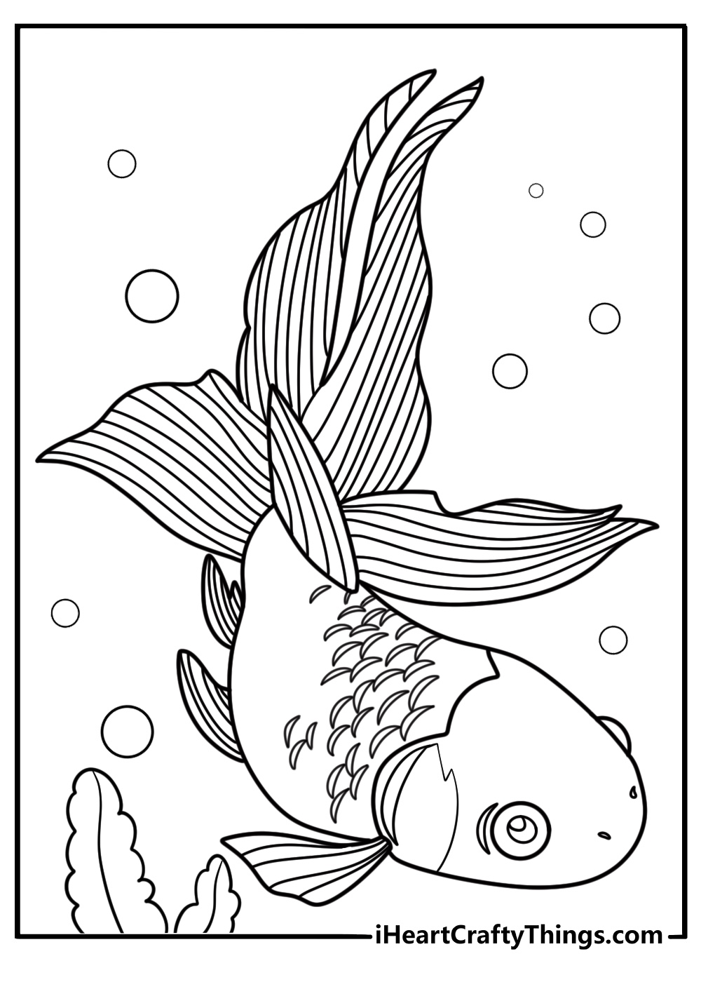 Goldfish with a fan tail in clean aquarium coloring page