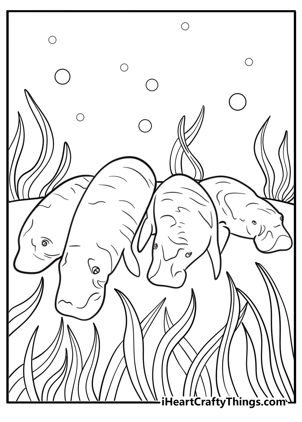 Group of manatees resting in shallow water coloring sheet