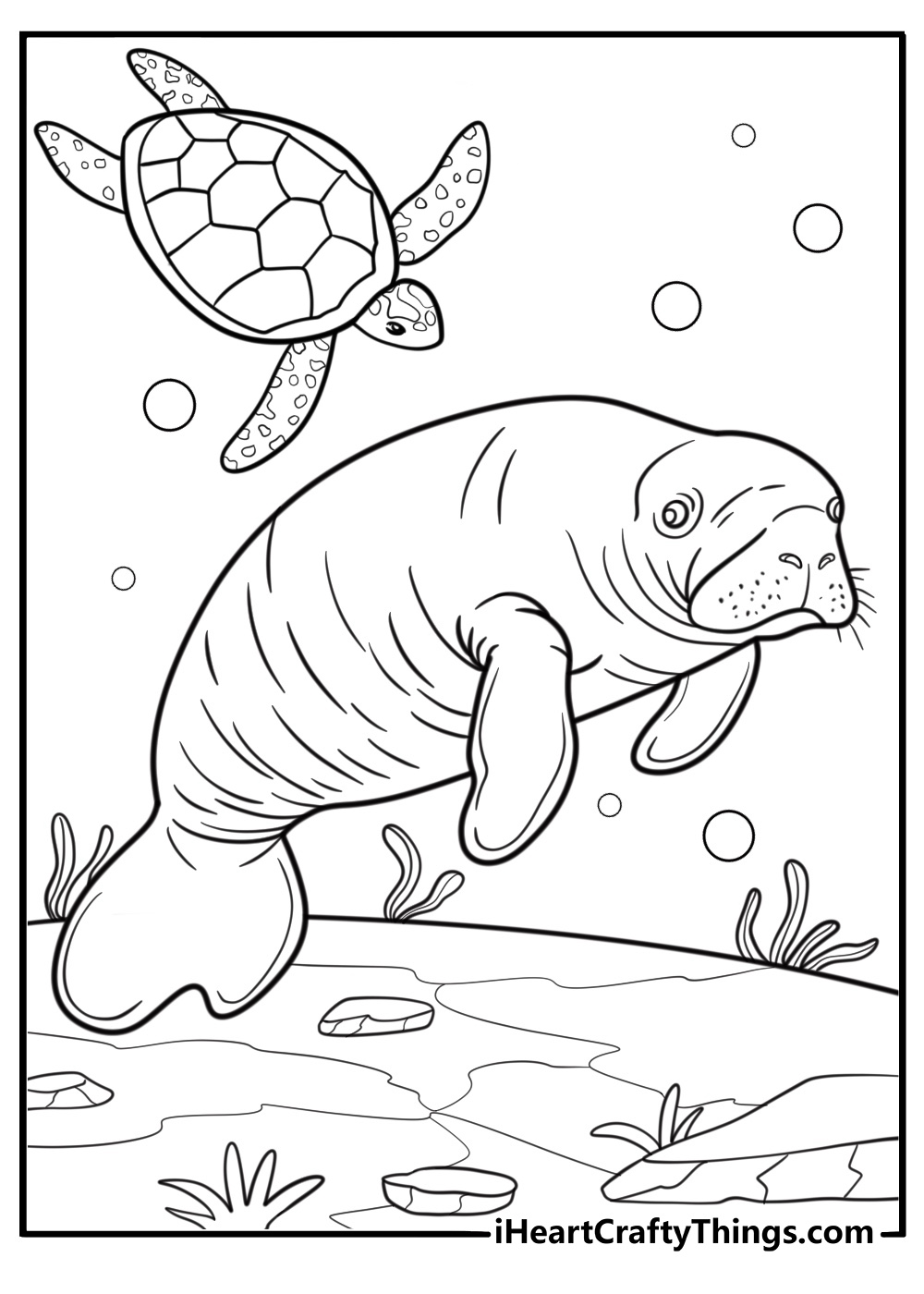 Manatee and turtle sharing habitat printable coloring sheet
