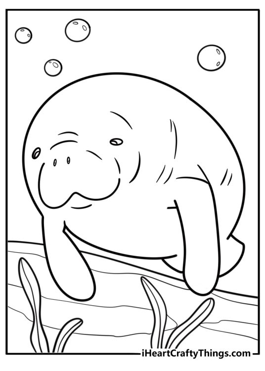 Manatee gliding through clear water coloring sheet