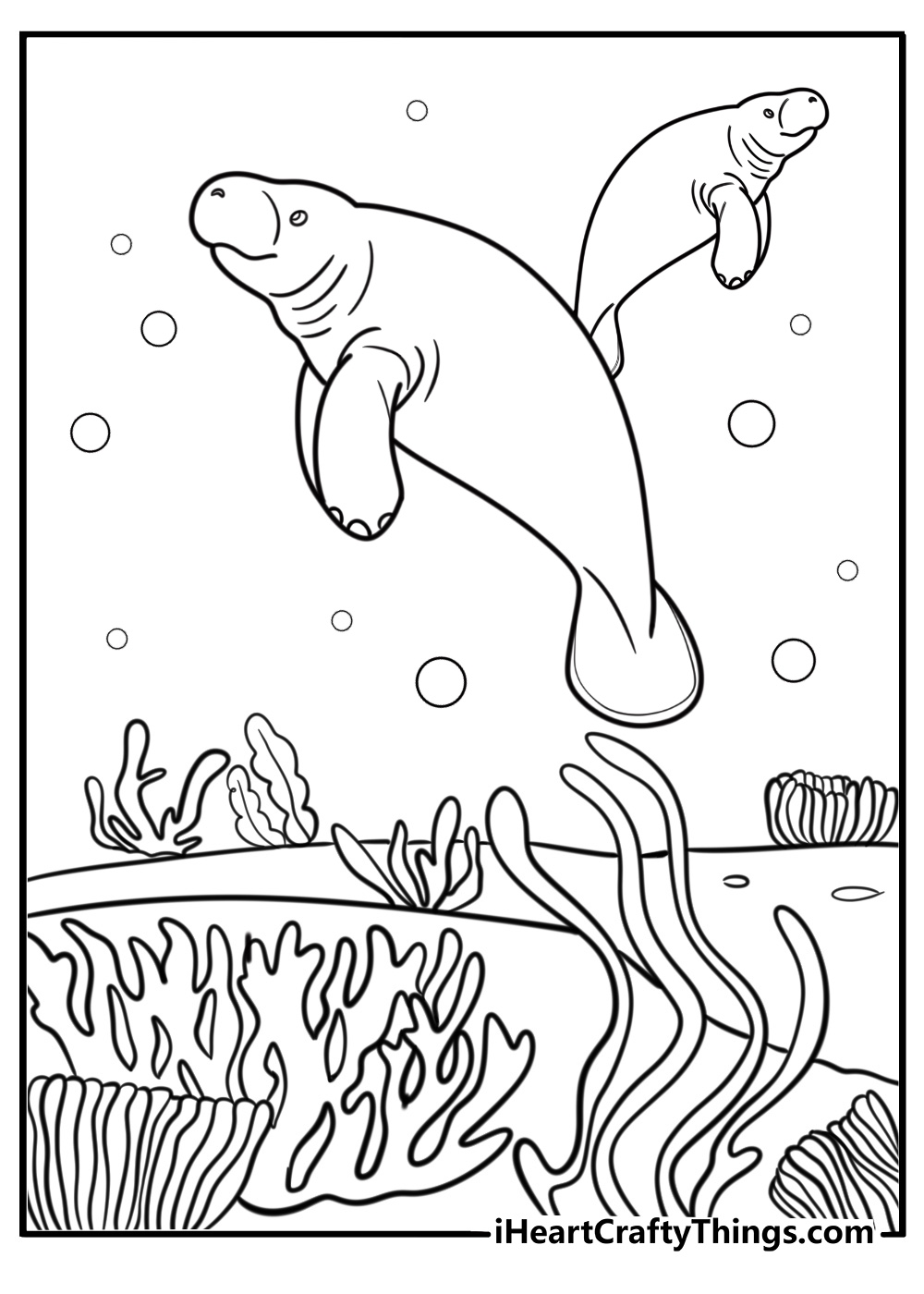 Manatee in warm spring habitat free coloring page pdf