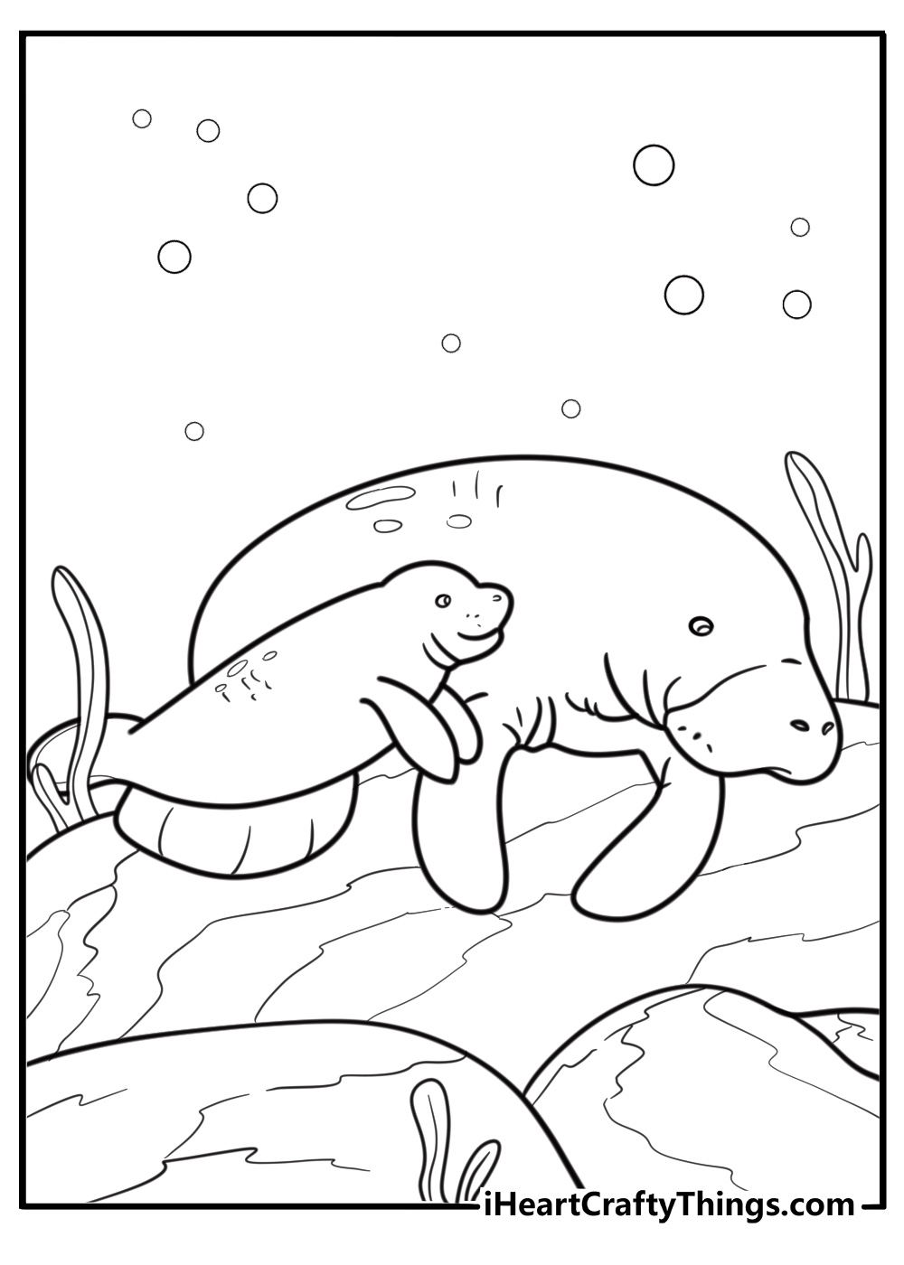 Manatee resting near a rock printable coloring page