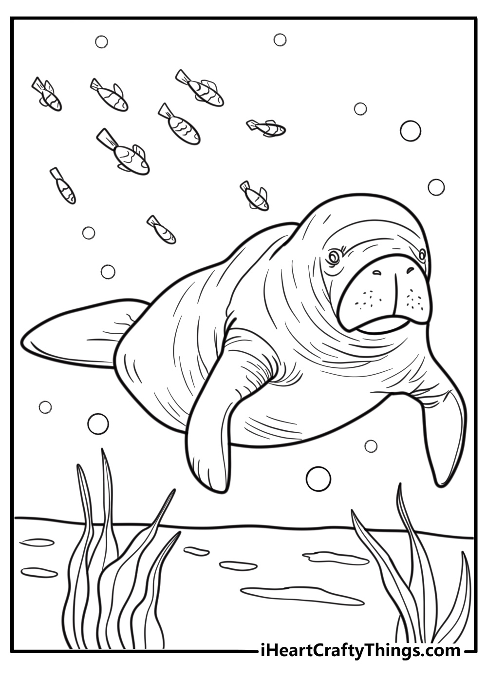 Manatee surrounded by aquatic vegetation free coloring page pdf