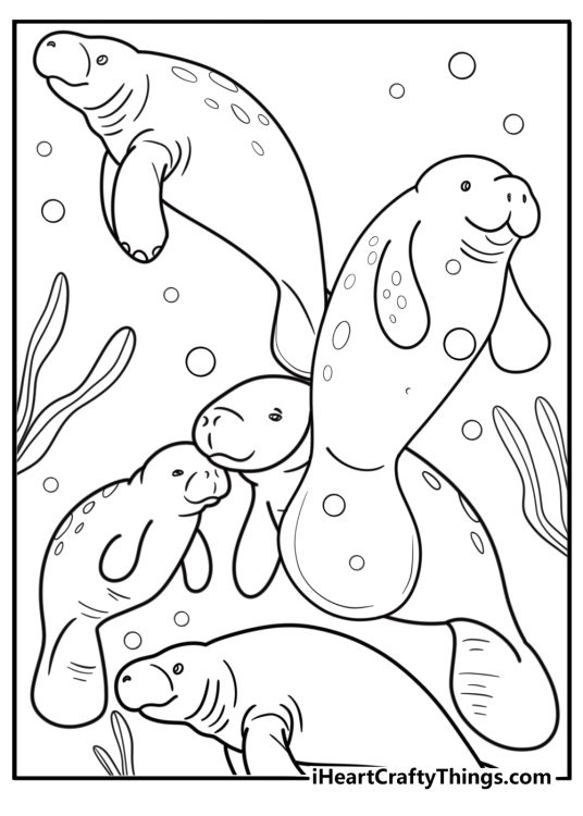Manatee swimming in a protected area coloring page