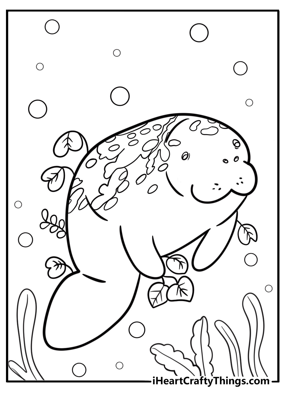 Manatee with algae on its back detailed coloring sheet