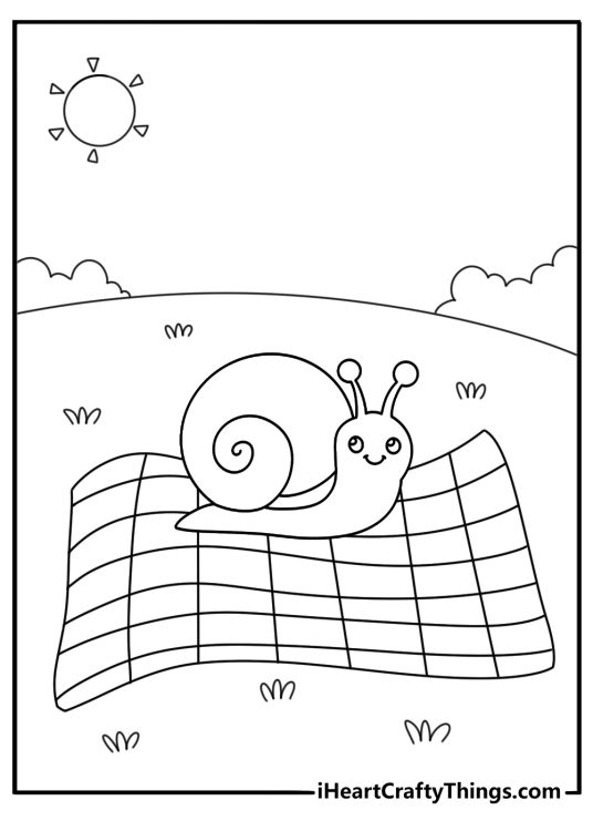 Cute snail coloring page with a snail on a picnic blanket