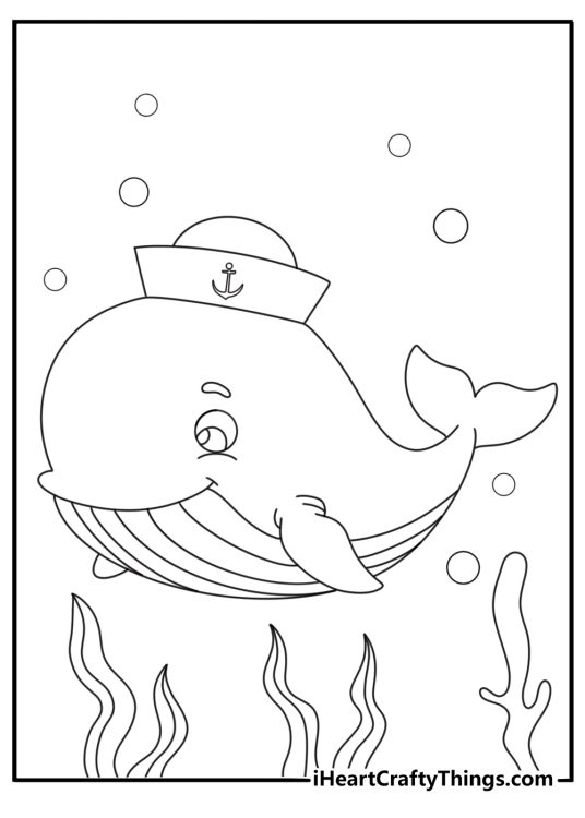 Cute whale wearing tiny sailor hat simple coloring sheet for kids